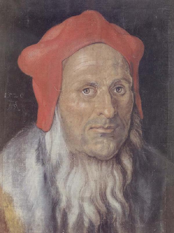 Albrecht Durer Bearded Man in a Red cap china oil painting image